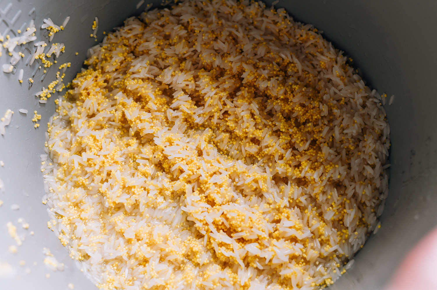 rinsed millet and rice in rice cooker pot
