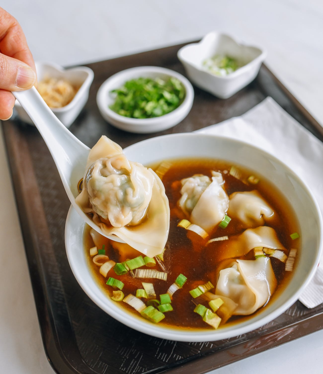 wonton in chinese soup spoon